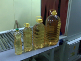Refined Palm oil